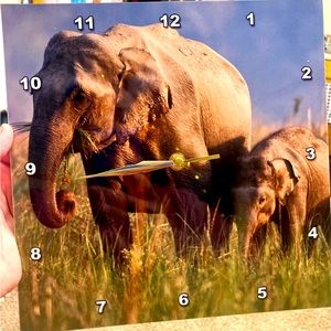 Flat metal elephant clock.
